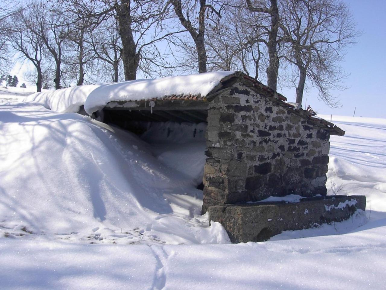 Maison De Famille Au Plateau Du Mezenc Les Vastres Exterior photo